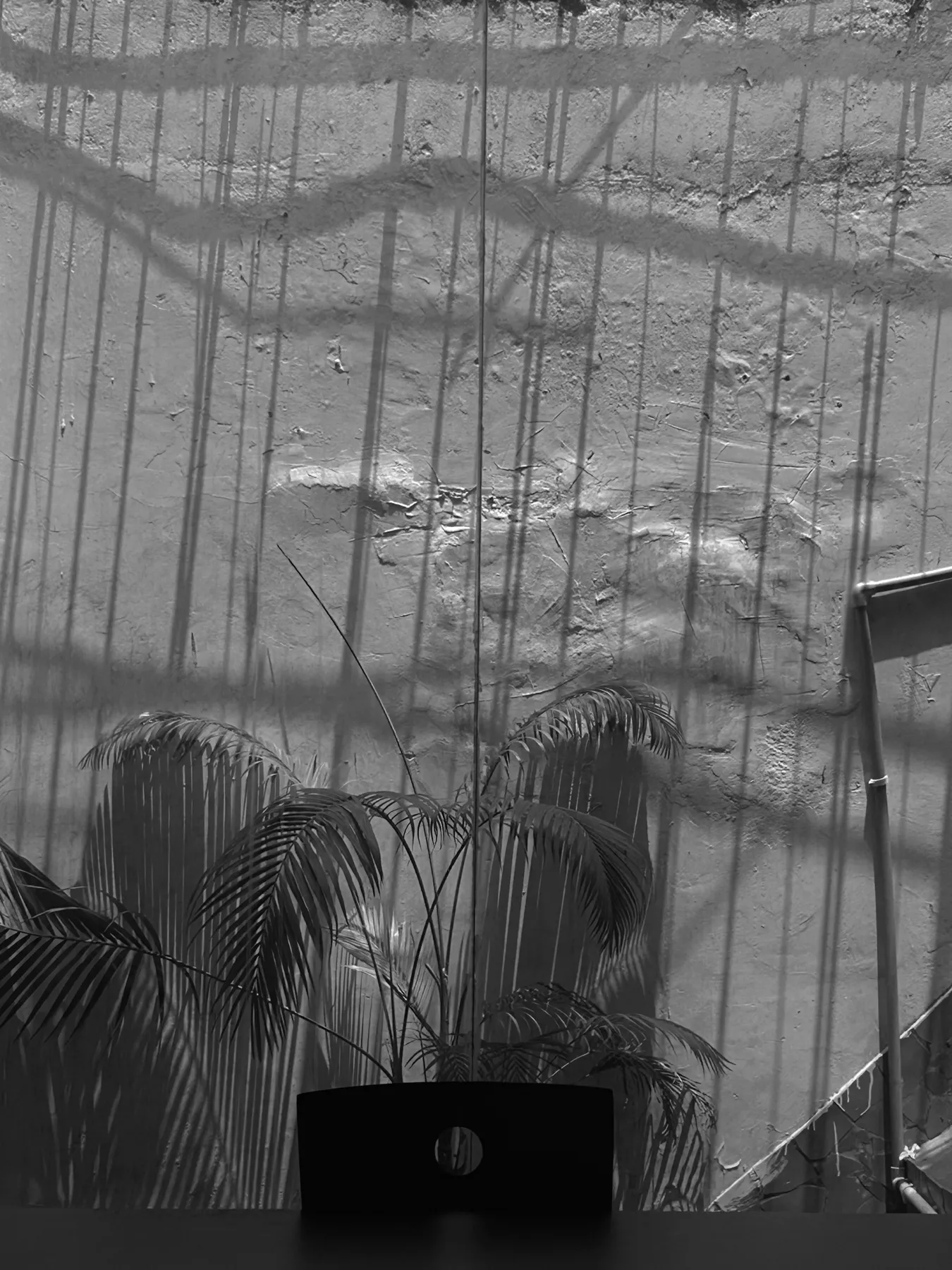 TDV from my eyes. Personal photography by Harris George Stephen, frame 21