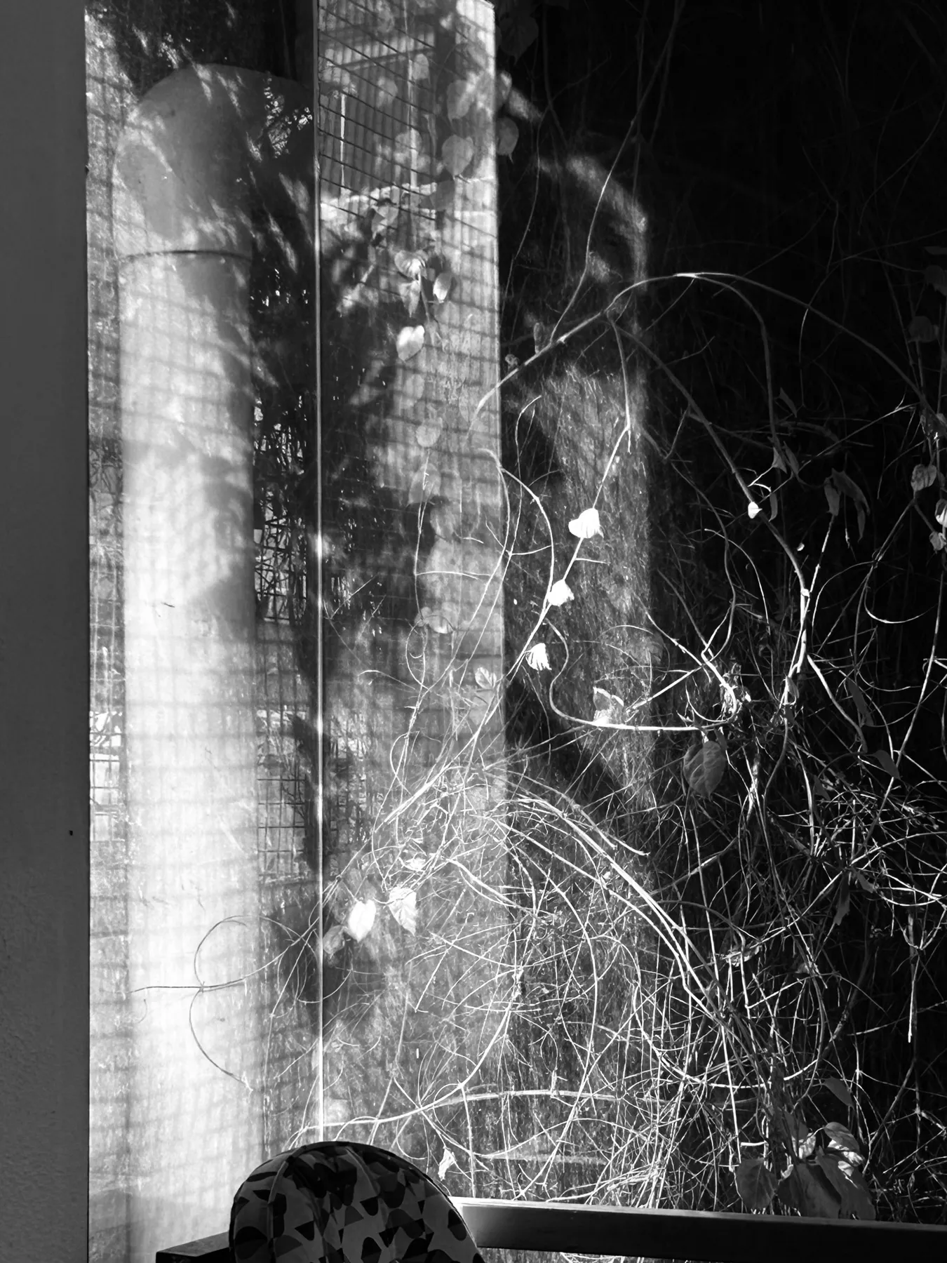 TDV from my eyes. Personal photography by Harris George Stephen, frame 72